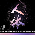 人体展2017神秘への挑戦 お得なチケット情報とグッズ