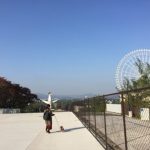 太陽の塔 内部公開の予約方法と混雑状況について