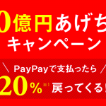 PayPayは難しい?実際にエディオン、ヤマダ電機で使った手順をレビュー